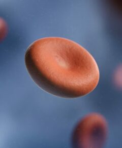 a group of red blood cells in a vein