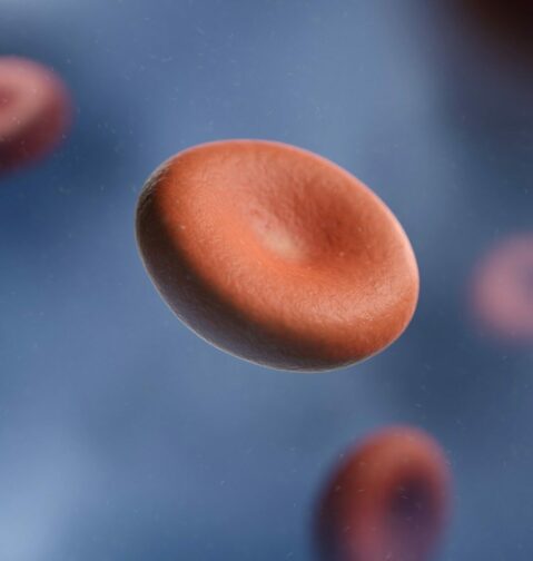 a group of red blood cells in a vein